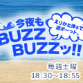 今夜もBuzzBuzzッ!! ~えりか・三輝のボ~っト修行中~
